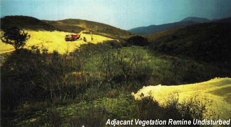 Adjacant Vegetation Remine Undisturbed