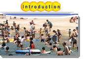 image of chapter 1