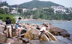 Sanitary surveys