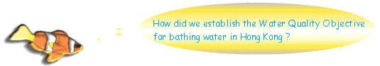 Image of How did we establish the Water Quality Objective for bathing water in Hong Kong?