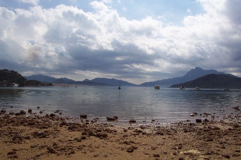 Photo of Tai Po District - Lung Mei (Non-gazetted beach)