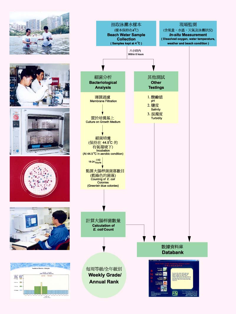Figure 2.2