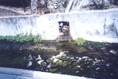 Upper stream of Sham Tseng Nullah (2)