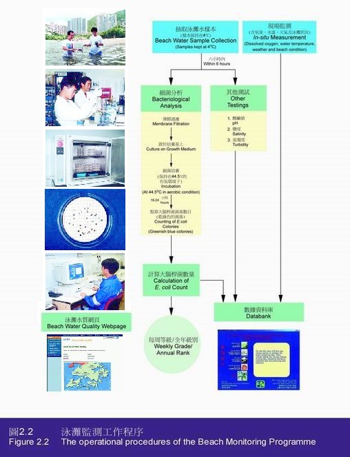 Figure 2.2 The operational procedures of the Beach Monitoring Programme
