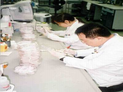 Counting of E.coli colonies