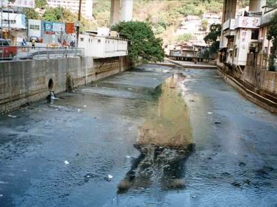 Commercial activities at lower stream also contributed to the pollution of Sham Tseng Nullah