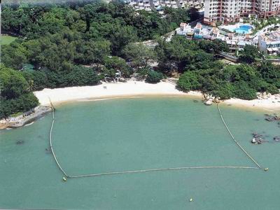 Kadoorie Beach had more fluctuated water quality in 2002