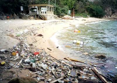 Beaches with a lot of floating refuse certainly create nuisance to swimmers