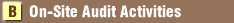 Image of On-Site Audit Activities