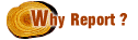 Image of Why report?