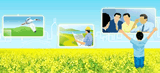 E-learning Platform for the EIA Mechanishm