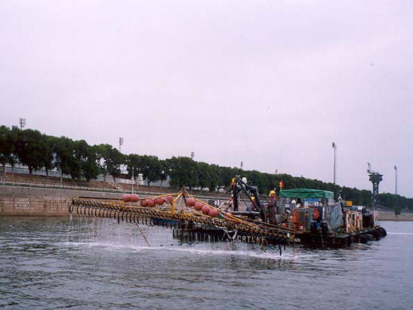 Photo of Bioremediation