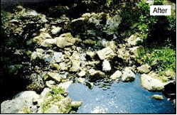 Outfall at Tolo Harbour before and after installation of WetSep