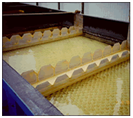 Muddy water being treated in the chemically assisted sedimentation tank