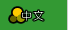 中文