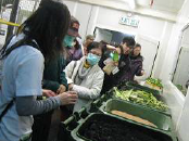 People visiting the composting plant