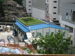Green roof for site office