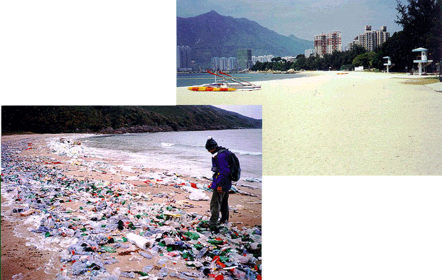 沙灘垃圾圖片
