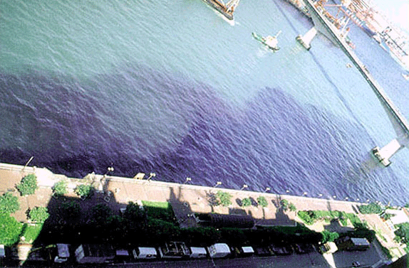 污染的海灣圖片