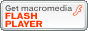 ���o Macromedia FLASH PLAYER