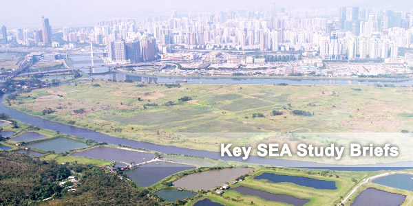 Key SEA Study Briefs