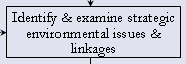 Identify & examine strategic environmental issues & linkages