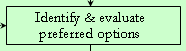 Identify & evaluate preferred options