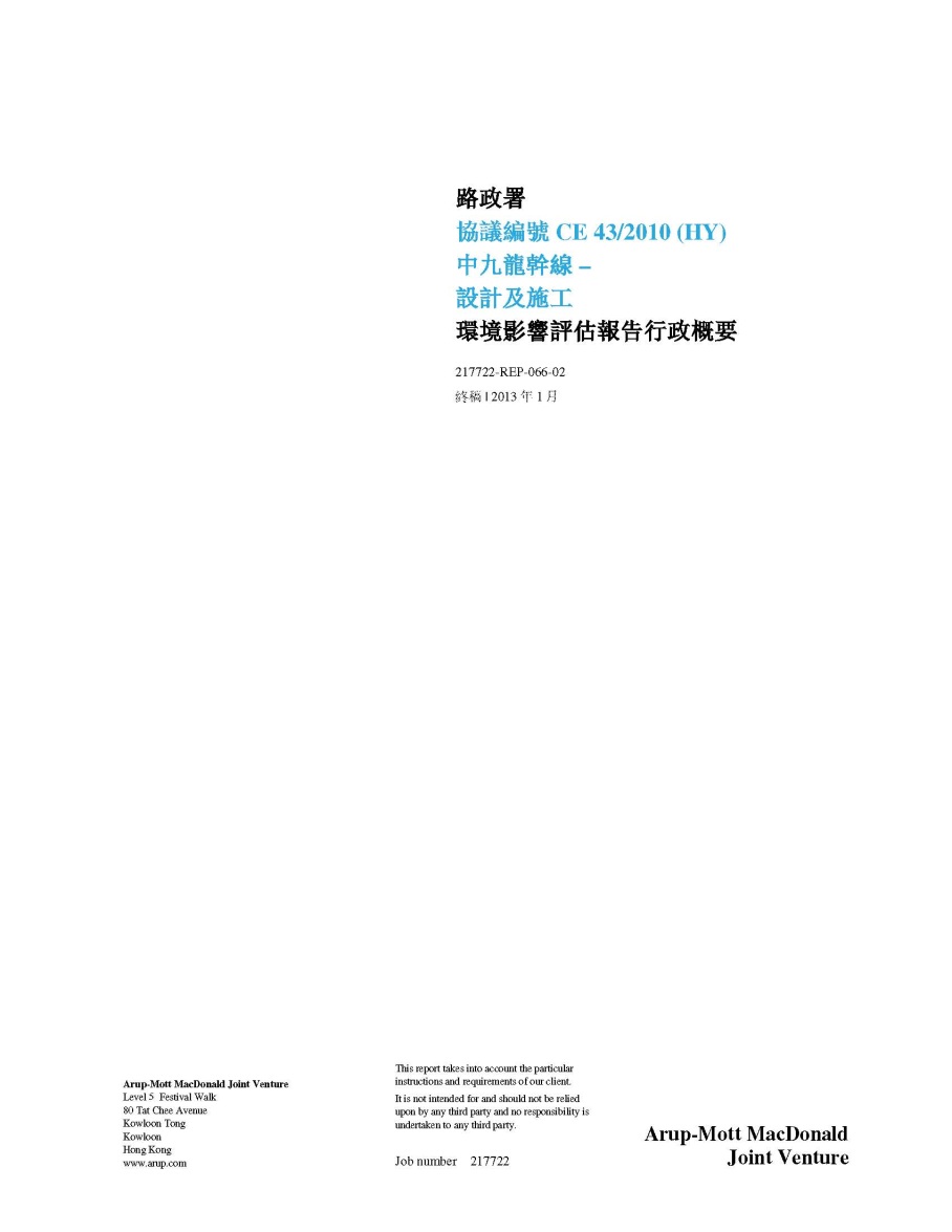 Executive Summary (Chinese)