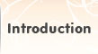 Introduction