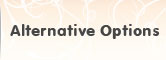 Alternative Options 