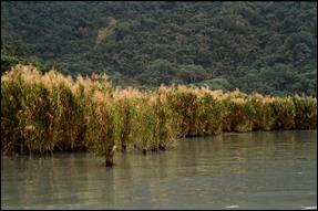 39250015_5440884004_o_by Tony