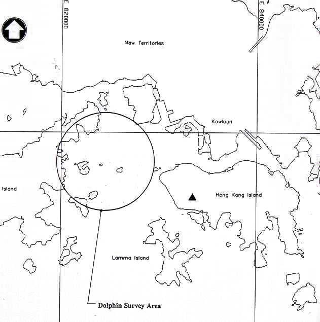 Map Showing Dolphin Survey Area