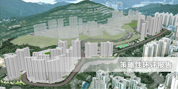 已完成的策略性环评报告