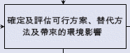 確定及評估可行方案、替代方法及帶來的環境影響