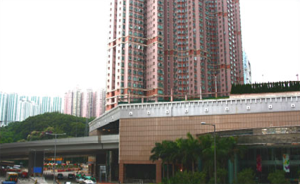 相片 -跨越式平台遮盖行车道