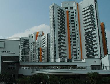 相片 - 創新的佈局設計