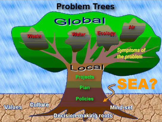 The cumulative environmental implications of local polices, plans and programmes (PPP) would lead to global environmental problems. SEA, however, can help avoid or reduce cumulative impacts by comprehensive assessment at a strategic level during PPP formulation.