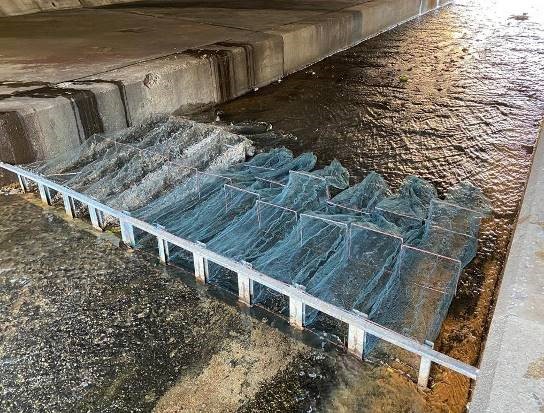 圖11：火炭明渠