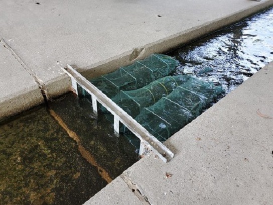 圖12：位於東涌的黃龍坑明渠