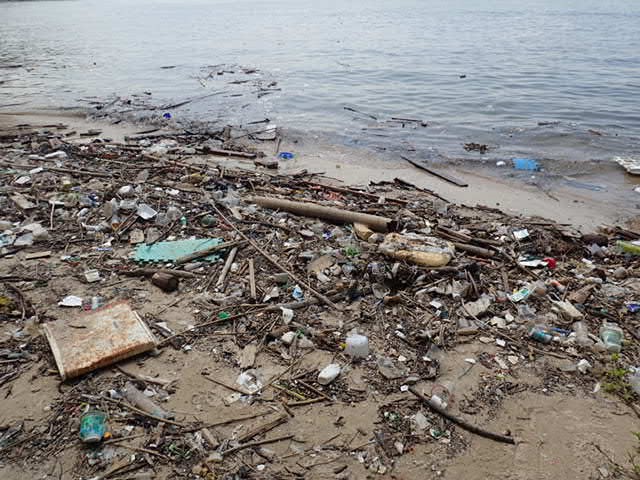 潔淨狀況欠佳的特別地點