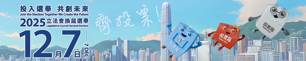 2025 Legislative Council General Election