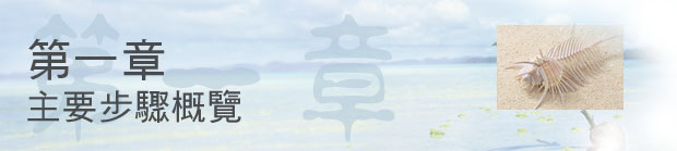 第一章 主要步驟概覽