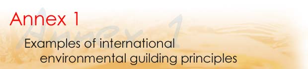 Annex 1 Examples of international environmental guilding principles