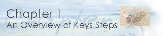 Chapter 1 An Overview of Key Steps