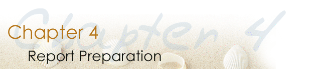 Chapter 4 Report Preparation