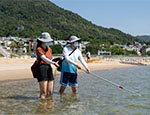 2022年香港泳灘水質年報今天(2023年4月1日)發表