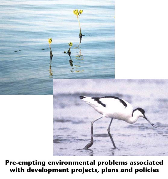 Photo Pre-empting environmental problems associated with development projects, plans and policies