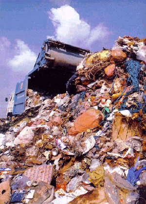 Image of Waste in Hong Kong