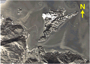 Image of Before Reclamation (Dec 1989)