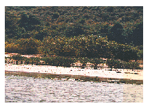 Photo of Water quality was monitored regularly together with frequent site inspections, wetland habitats are protected.